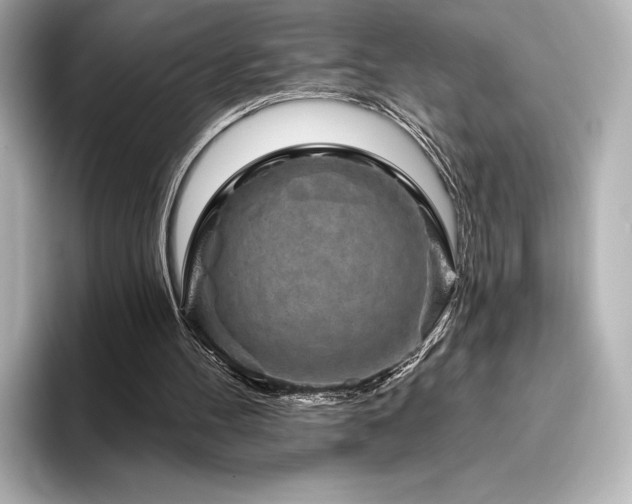 X0000096410100200801241229