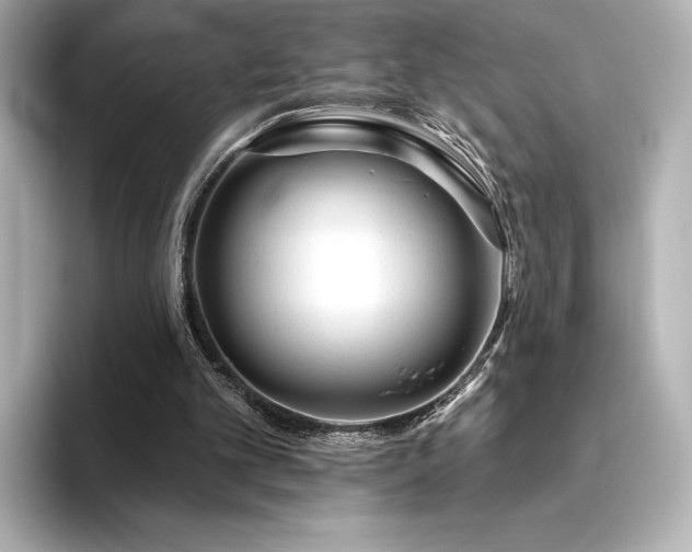 X0000096410101200801241229