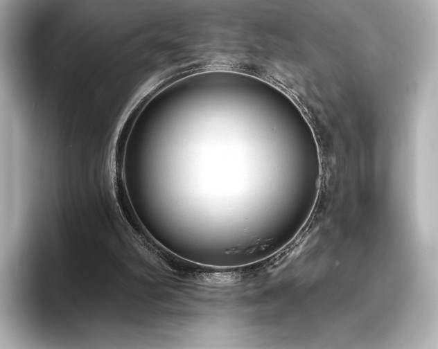X0000096410102200801241229