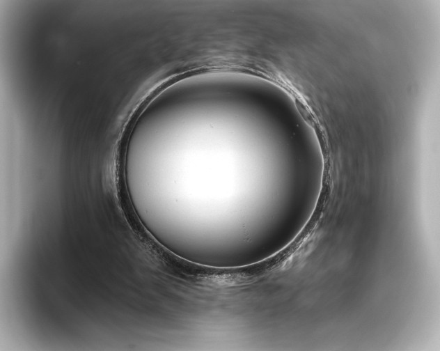 X0000096410103200801241229