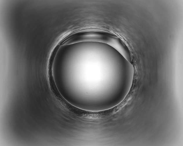 X0000096410104200801241229