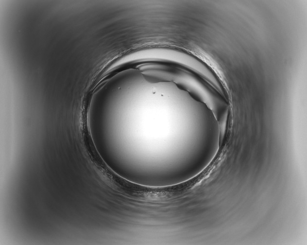 X0000096410105200801241228