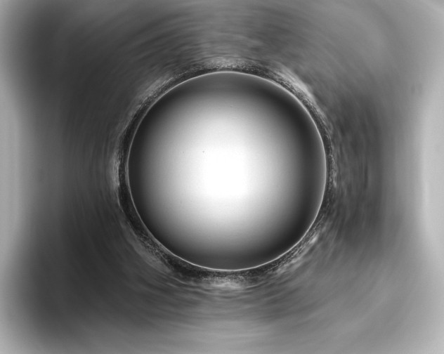X0000096410106200801241228
