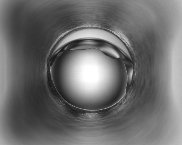 X0000096410108200801241228