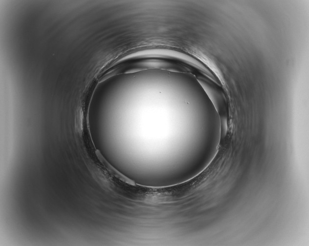 X0000096410109200801241228