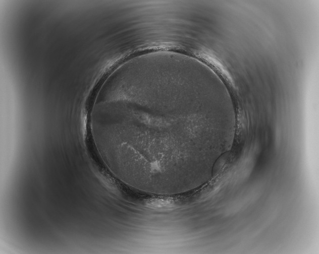 X0000096410110200801241228