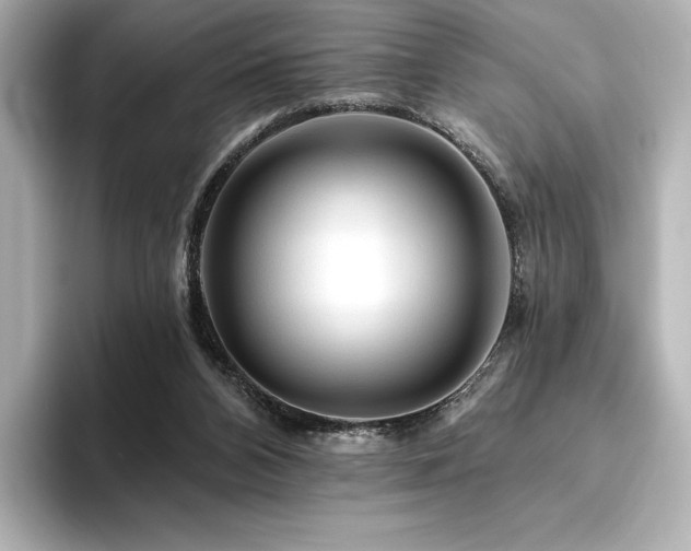 X0000096410112200801241228