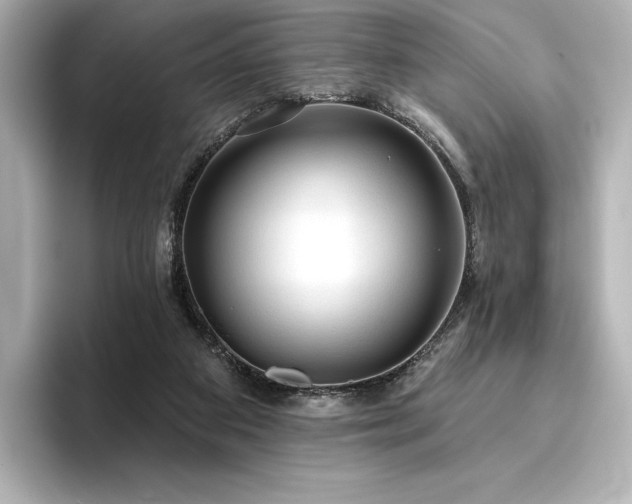 X0000096410113200801241228
