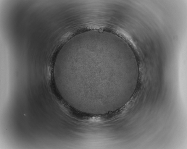 X0000096410114200801241228
