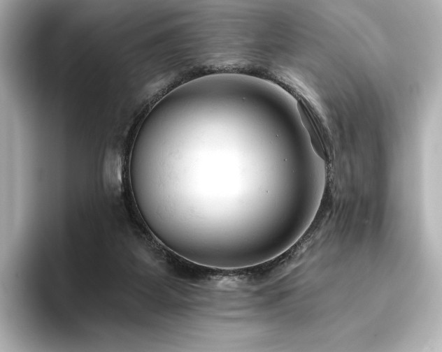X0000096410115200801241228