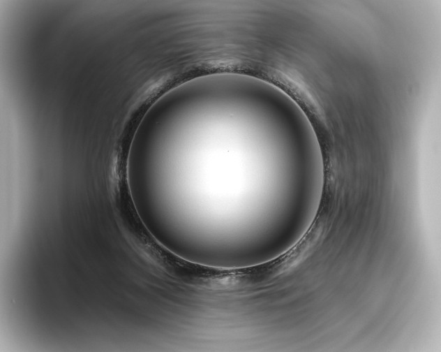 X0000096410116200801241228