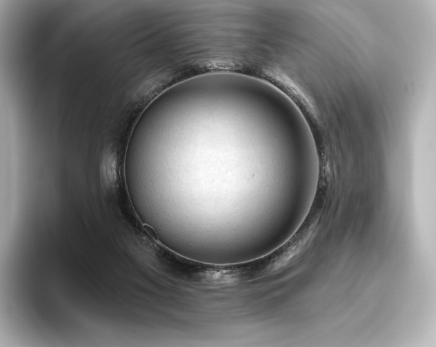 X0000096410117200801241228