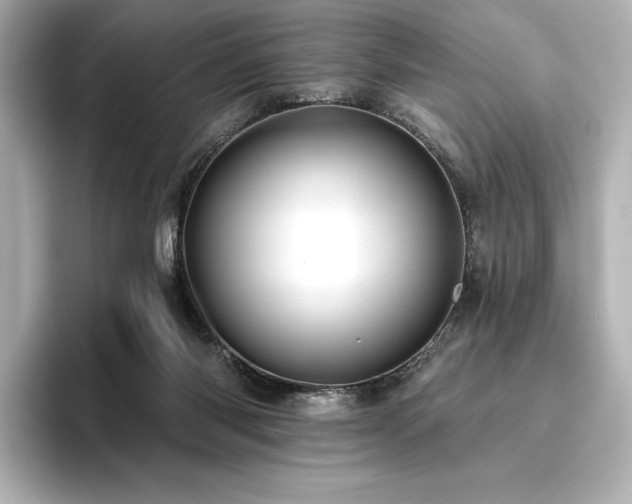 X0000096410118200801241228