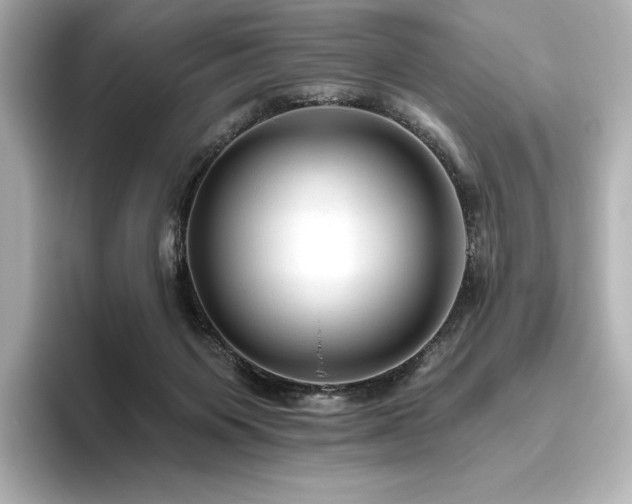X0000096410119200801241228