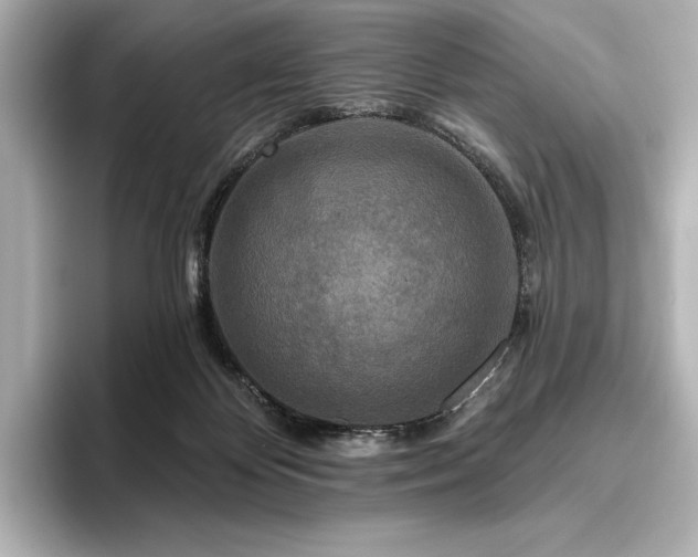 X0000096410124200801241228