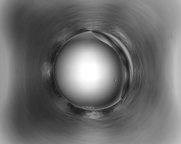 X0000096410125200801241228