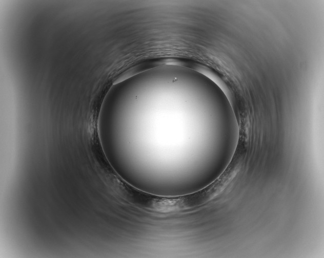 X0000096410129200801241228