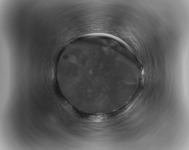 X0000096410131200801241228