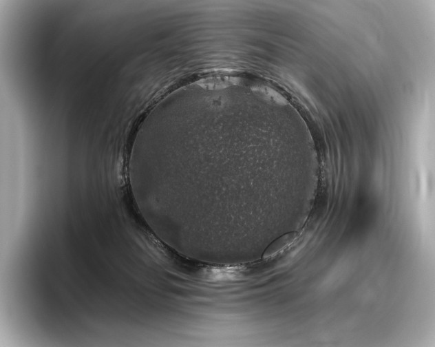 X0000096410134200801241228