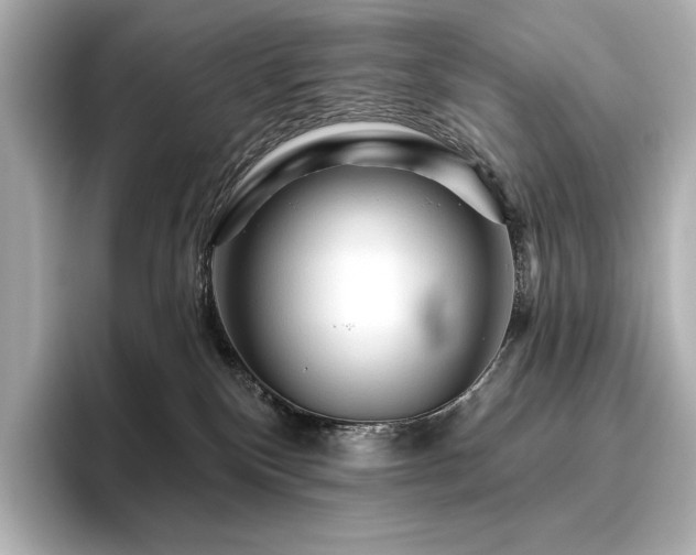 X0000096410136200801241228