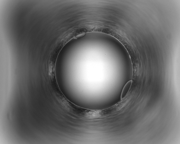 X0000096410138200801241228
