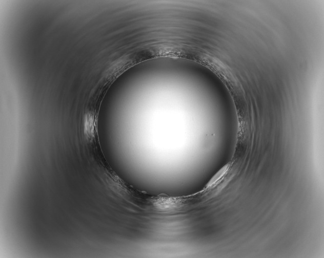 X0000096410142200801241228