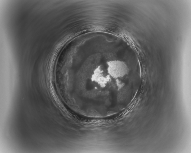 X0000096410145200801241227