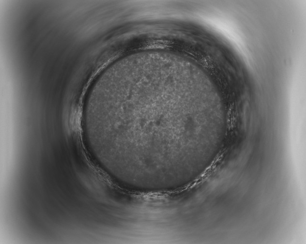 X0000096410146200801241227