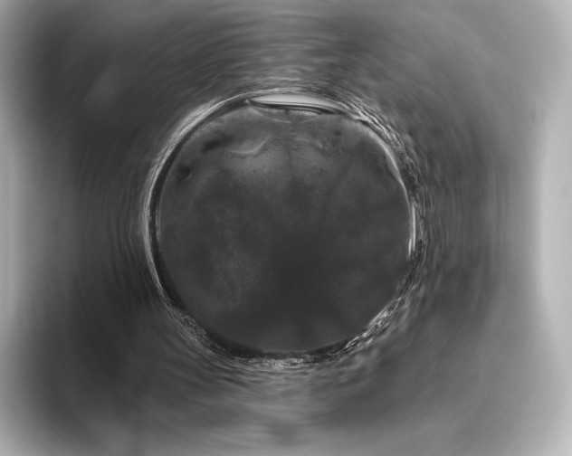 X0000096410147200801241227