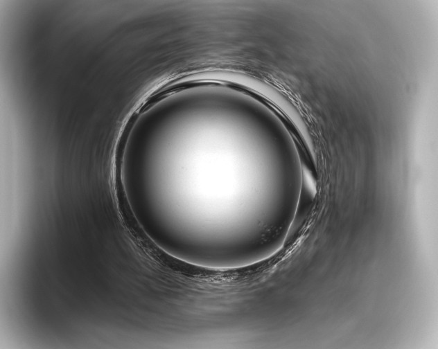 X0000096410148200801241227