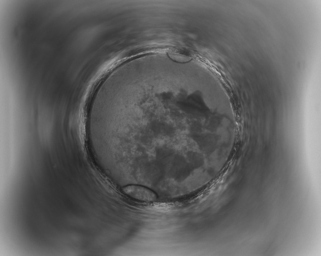 X0000096410149200801241227