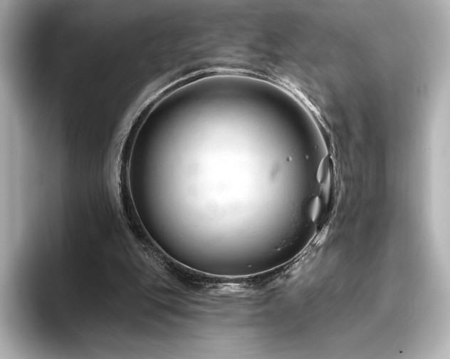 X0000096410151200801241227