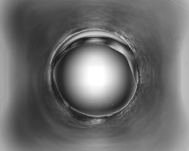 X0000096410152200801241227