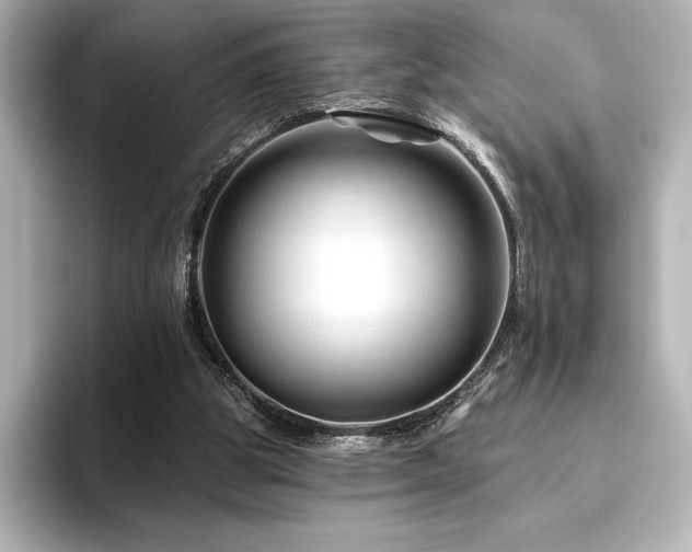 X0000096410153200801241227