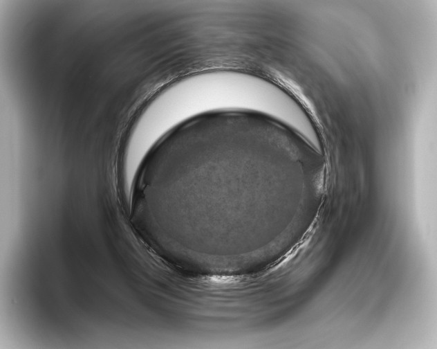 X0000096410154200801241227