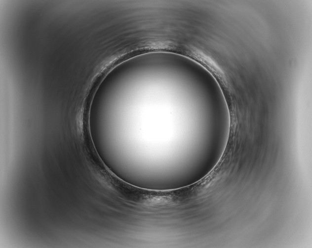 X0000096410155200801241227