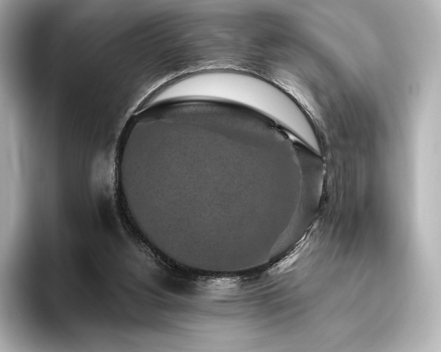 X0000096410156200801241228