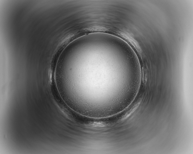 X0000096410157200801241228