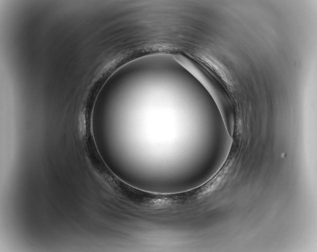 X0000096410158200801241228