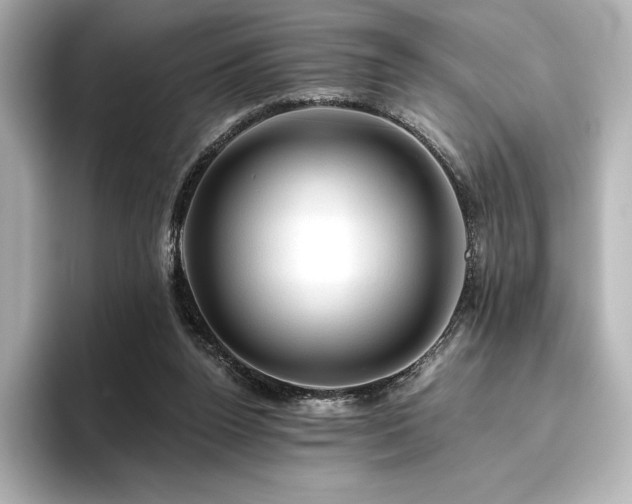 X0000096410160200801241228