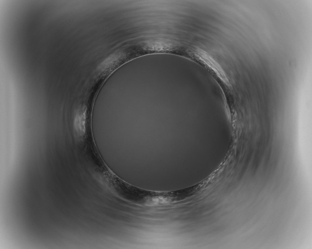 X0000096410163200801241228
