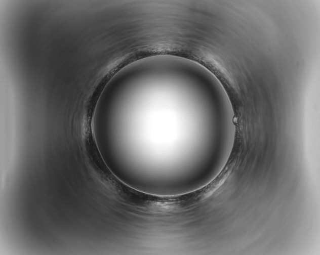 X0000096410164200801241228