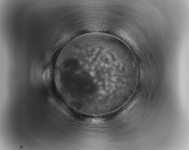 X0000096410165200801241228