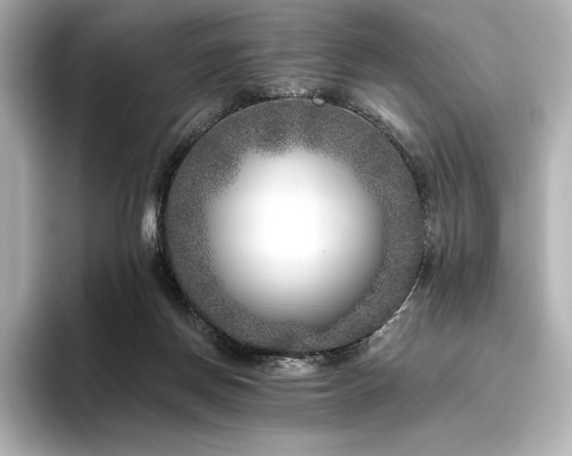X0000096410166200801241228