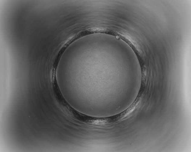 X0000096410168200801241228