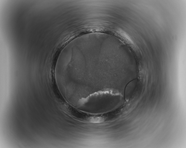 X0000096410169200801241228