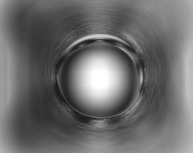 X0000096410170200801241228