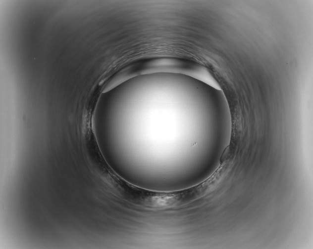 X0000096410172200801241228