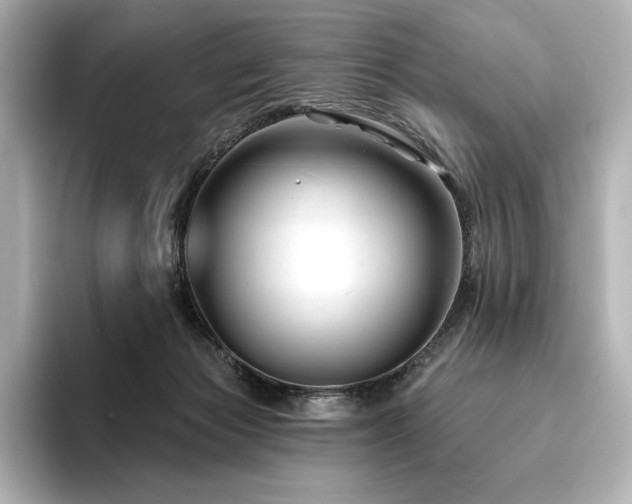 X0000096410173200801241228
