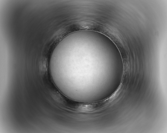 X0000096410174200801241228